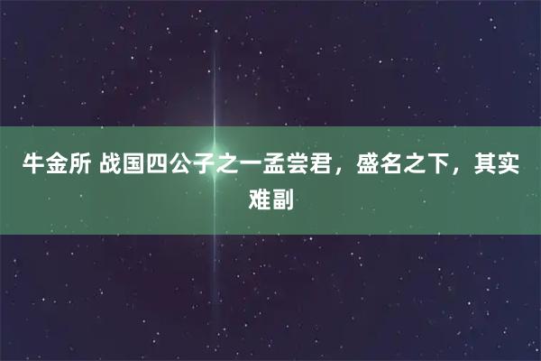 牛金所 战国四公子之一孟尝君，盛名之下，其实难副