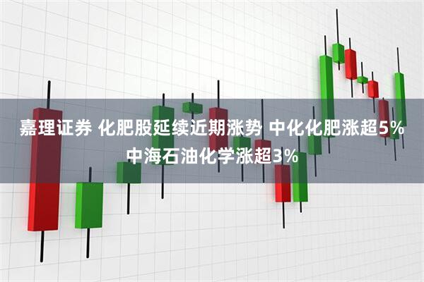 嘉理证券 化肥股延续近期涨势 中化化肥涨超5%中海石油化学涨超3%