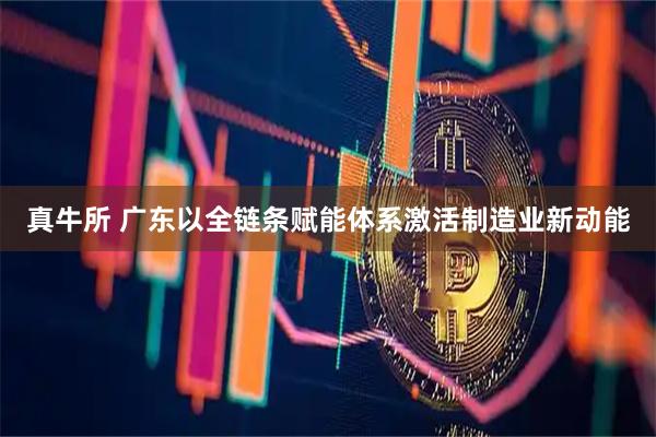 真牛所 广东以全链条赋能体系激活制造业新动能