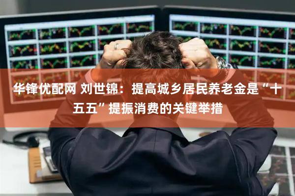 华锋优配网 刘世锦：提高城乡居民养老金是“十五五”提振消费的关键举措