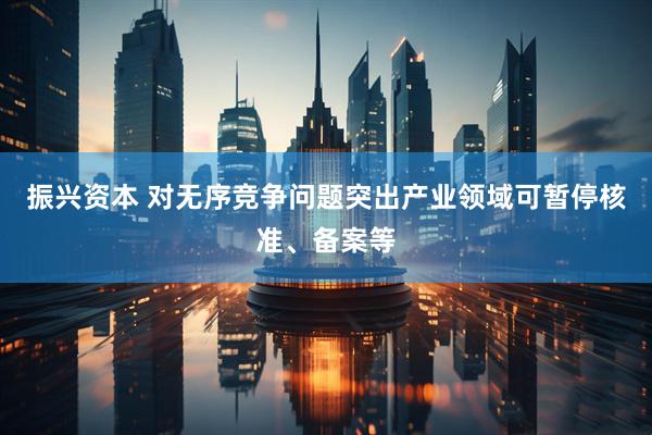 振兴资本 对无序竞争问题突出产业领域可暂停核准、备案等