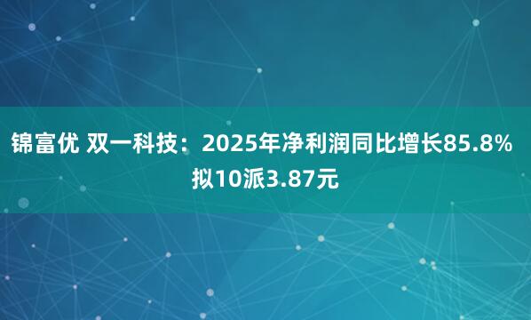 锦富优 双一科技：2025年净利润同比增长85.8% 拟10派3.87元