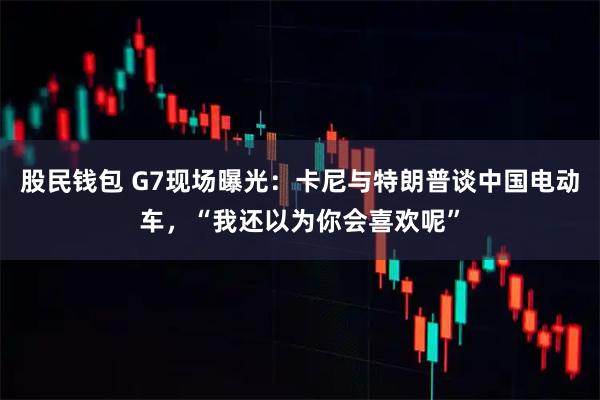 股民钱包 G7现场曝光：卡尼与特朗普谈中国电动车，“我还以为你会喜欢呢”