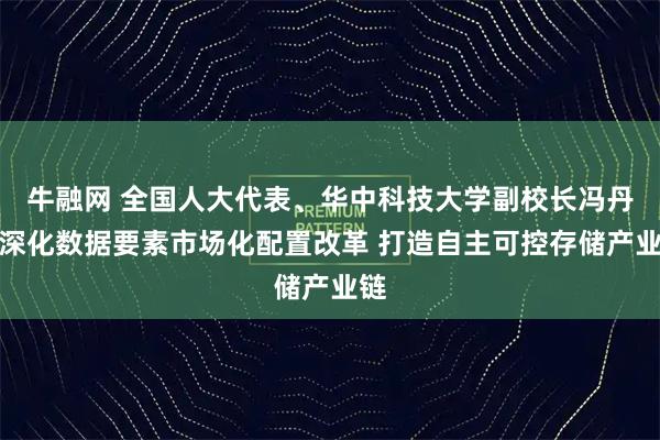 牛融网 全国人大代表、华中科技大学副校长冯丹：深化数据要素市场化配置改革 打造自主可控存储产业链