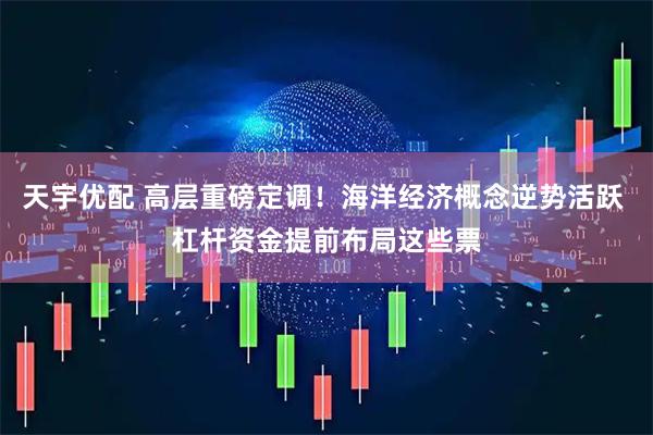 天宇优配 高层重磅定调！海洋经济概念逆势活跃 杠杆资金提前布局这些票