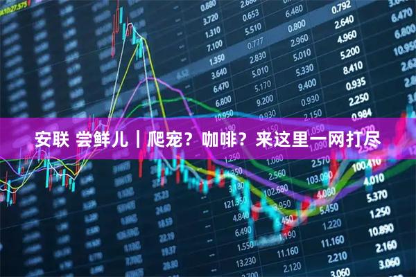 安联 尝鲜儿｜爬宠？咖啡？来这里一网打尽