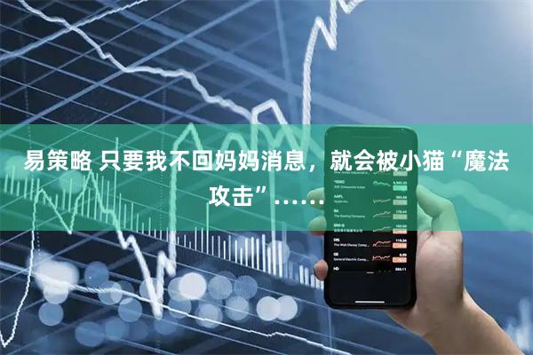 易策略 只要我不回妈妈消息，就会被小猫“魔法攻击”……