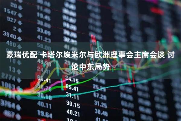 豪瑞优配 卡塔尔埃米尔与欧洲理事会主席会谈 讨论中东局势
