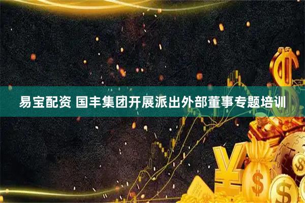 易宝配资 国丰集团开展派出外部董事专题培训