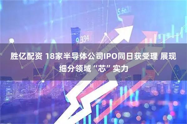 胜亿配资 18家半导体公司IPO同日获受理 展现细分领域“芯”实力