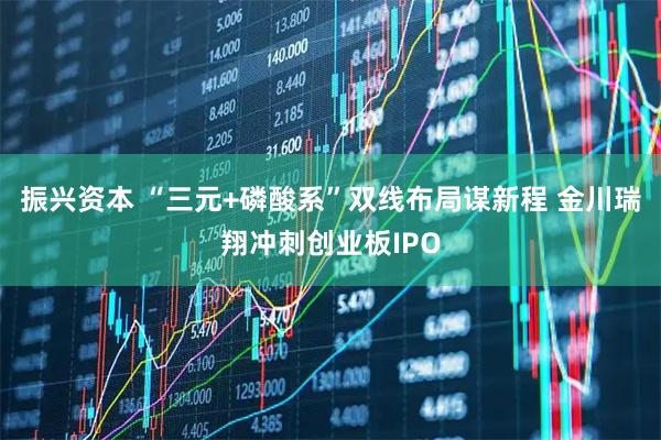 振兴资本 “三元+磷酸系”双线布局谋新程 金川瑞翔冲刺创业板IPO