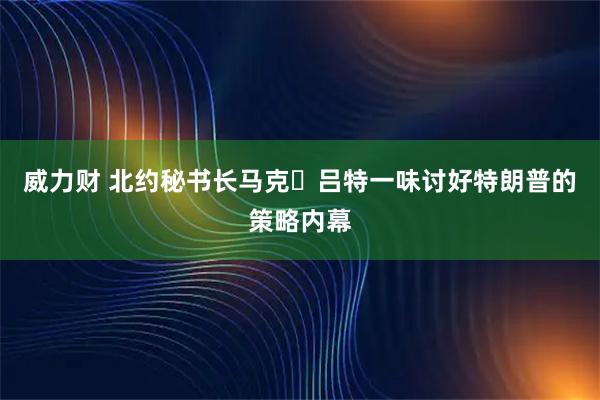 威力财 北约秘书长马克・吕特一味讨好特朗普的策略内幕
