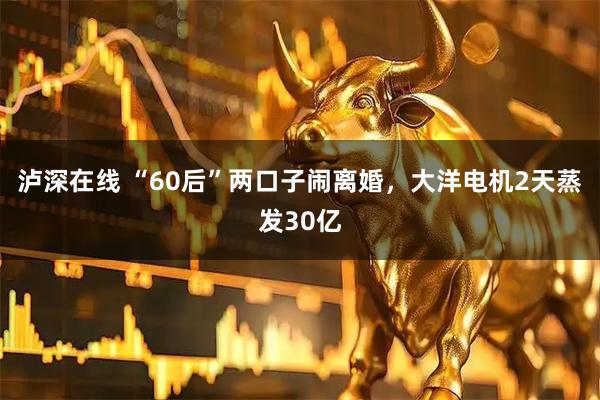 泸深在线 “60后”两口子闹离婚，大洋电机2天蒸发30亿
