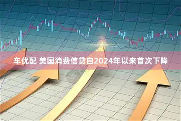 车优配 美国消费信贷自2024年以来首次下降